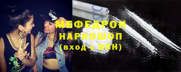 дмт Дмитров