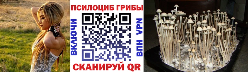 Галлюциногенные грибы мухоморы  Воркута 