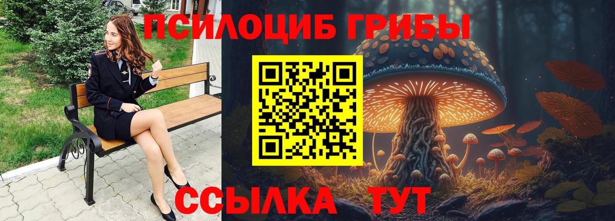 Галлюциногенные грибы прущие грибы Воркута