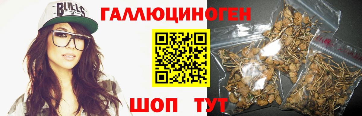 Псилоцибиновые грибы Magic Shrooms  Псилоцибиновые грибы MAGIC MUSHROOMS  Вход с VPN  Воркута 
