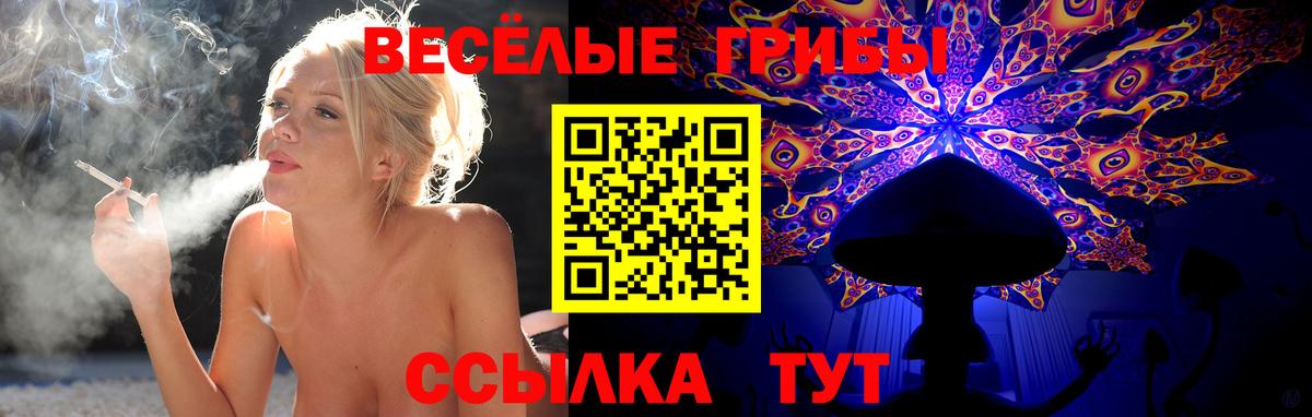 Псилоцибиновые грибы мухоморы  Воркута 